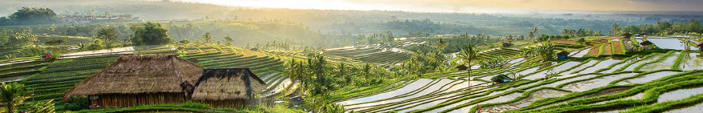 AIDA Australien & Indonesien <br/> ab/bis Singapur