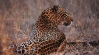 AIDA Transafrika Kreuzfahrt Südafrika & Namibia