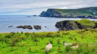 AIDA Cruises Großbritannien & Irland und Schottland