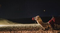 AIDA Transsuez Arabien und Kultur pur