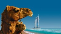 Feiertage 2026/2027 an Bord von AIDA Cruises Feiertage 2026/2027 an Bord von AIDA Cruises