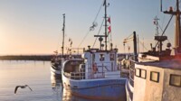 AIDA Ostsee Kreuzfahrt ab Warnemünde oder Kiel AIDA Ostsee Kreuzfahrt ab Warnemünde oder Kiel